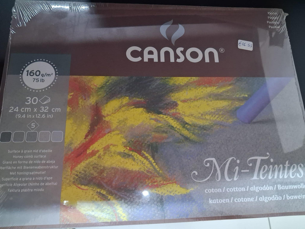 Canson Artists' Paper Pastel 160gsm 24x32cm