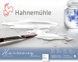 Hahnemühle Harmony Watercolour Paper, 300 gsm, Rough, 24 × 30 cm