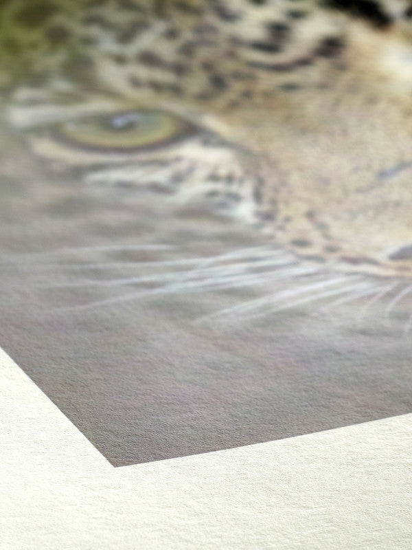 Hahnemuhle Bamboo Watercolour Sheets 50x65cm