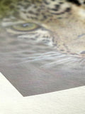 Hahnemuhle Bamboo Watercolour Sheets 50x65cm